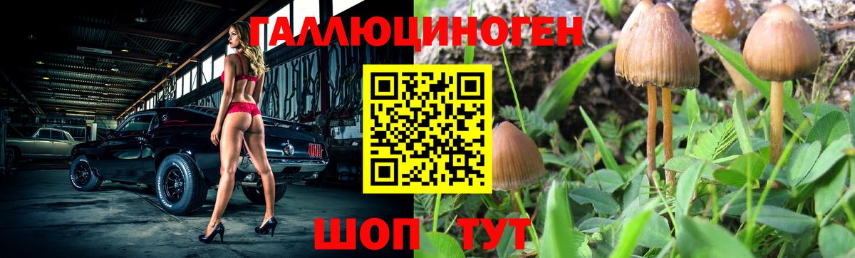 Галлюциногенные грибы GOLDEN TEACHER  Вход с VPN  Геленджик 