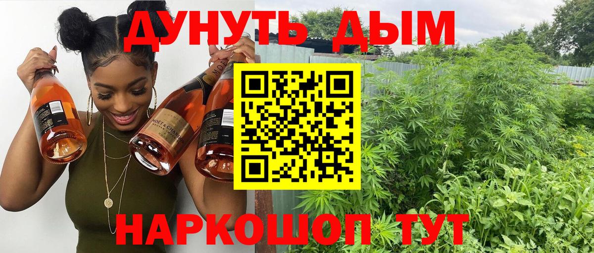 МАРИХУАНА OG Kush  Конопля Ganja  Вход с VPN  Марихуана VHQ  Геленджик  Шишки марихуана THC 21% 